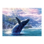 Buckelwal im Glacier Bay