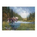 Elch im See 1000 Teile