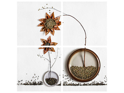 Leinwandbild 4-teilig Herbarium