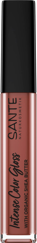 SANTE Intense Color Gloss 02 Soothing Terra