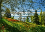 Frühlingsallee zur Tulpenblüte, Insel Mainau 1000 Teile