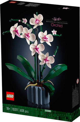 Orchidee