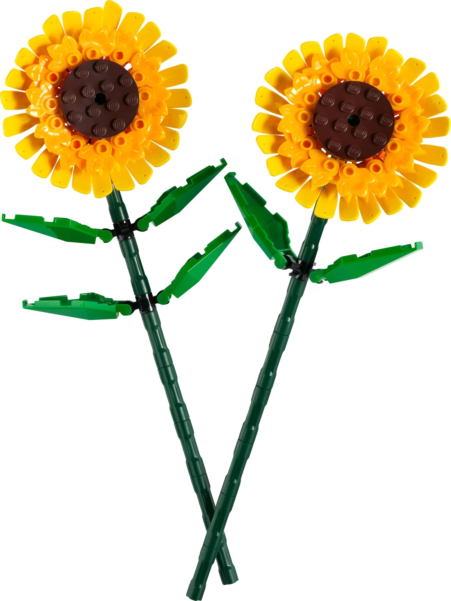 Sonnenblumen