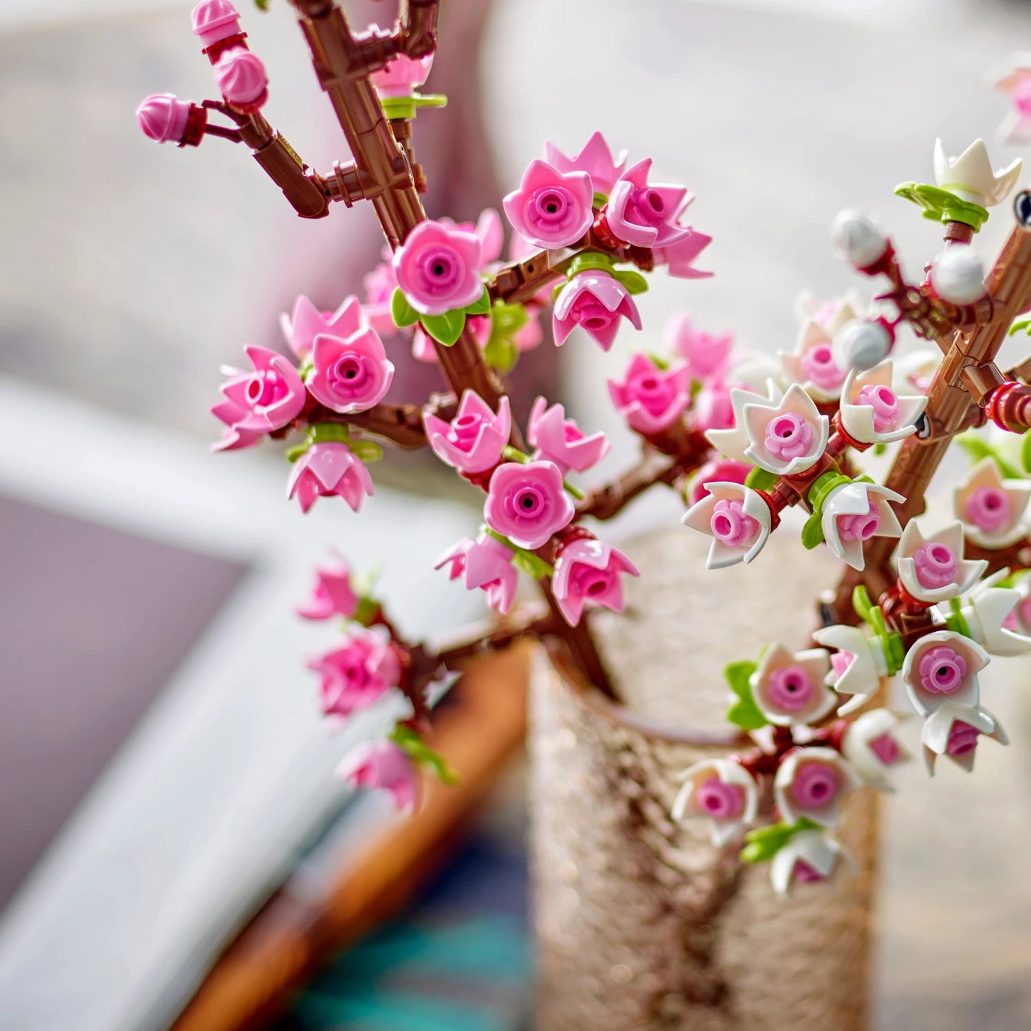 Kirschblüten