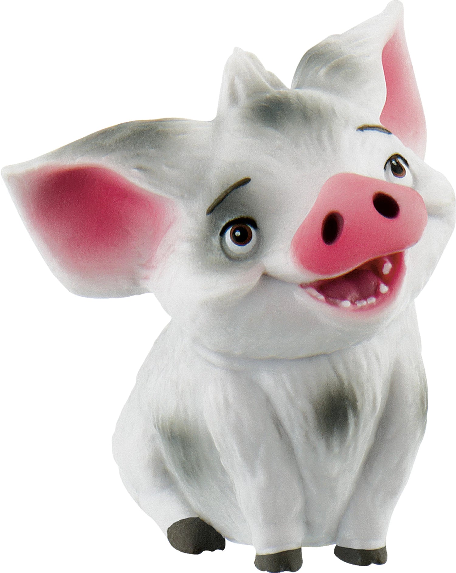 Pua
