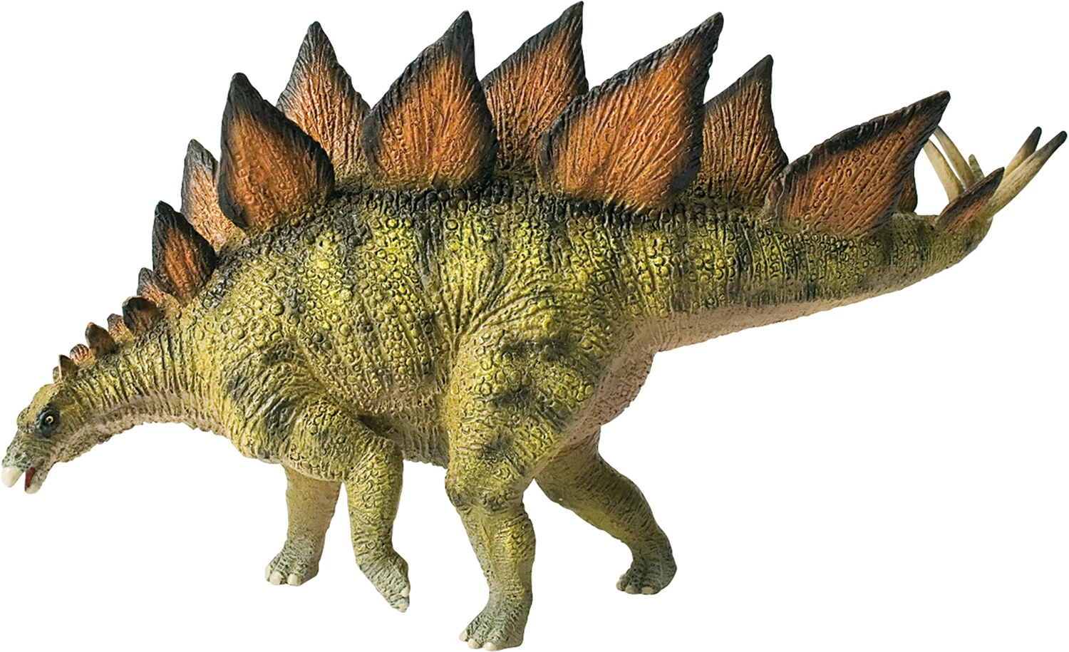 Stegosaurus