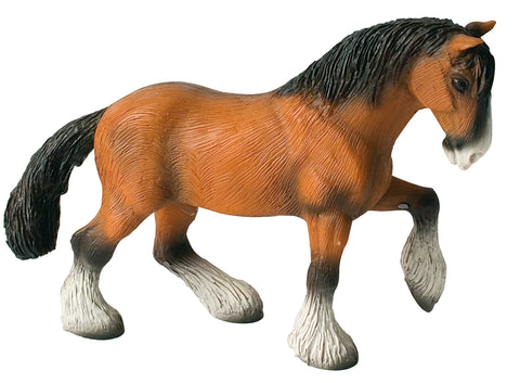 Shire Horse Wallach