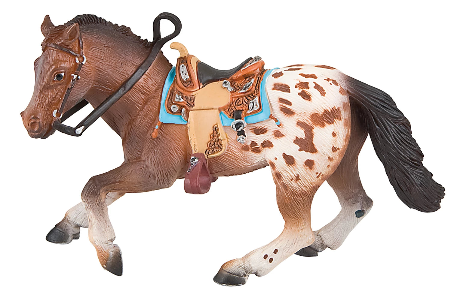 Appaloosa Hengst