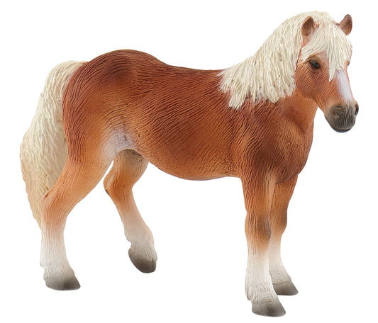 Haflinger Stute