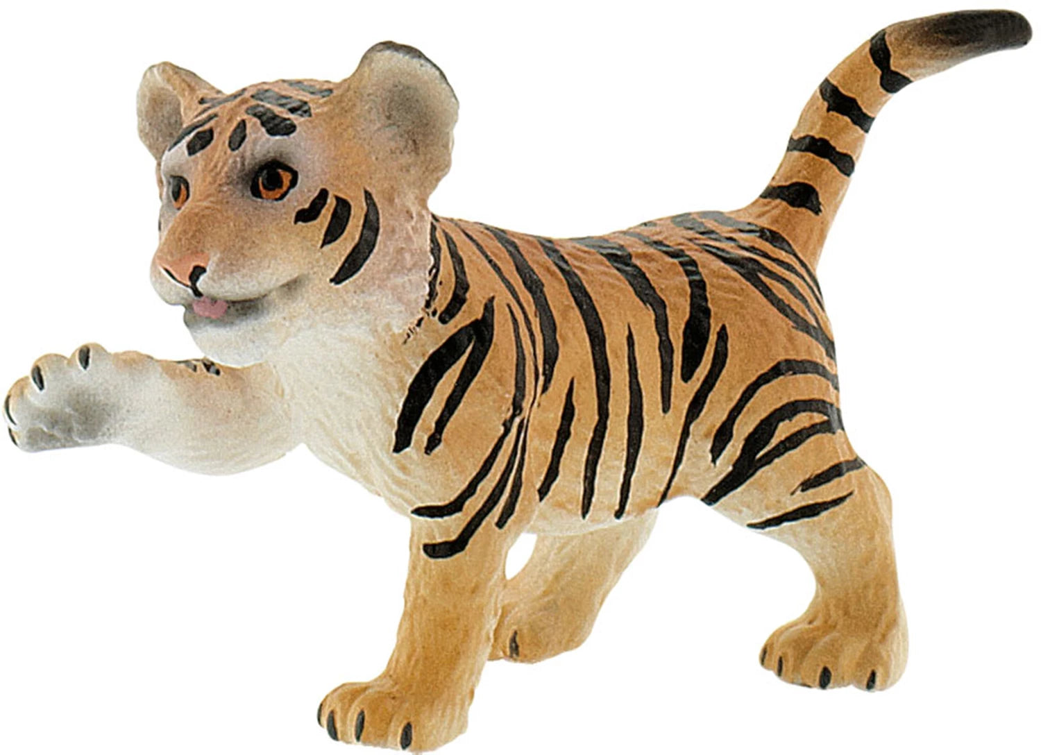 Tiger Junges braun
