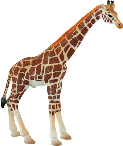 Giraffenbulle