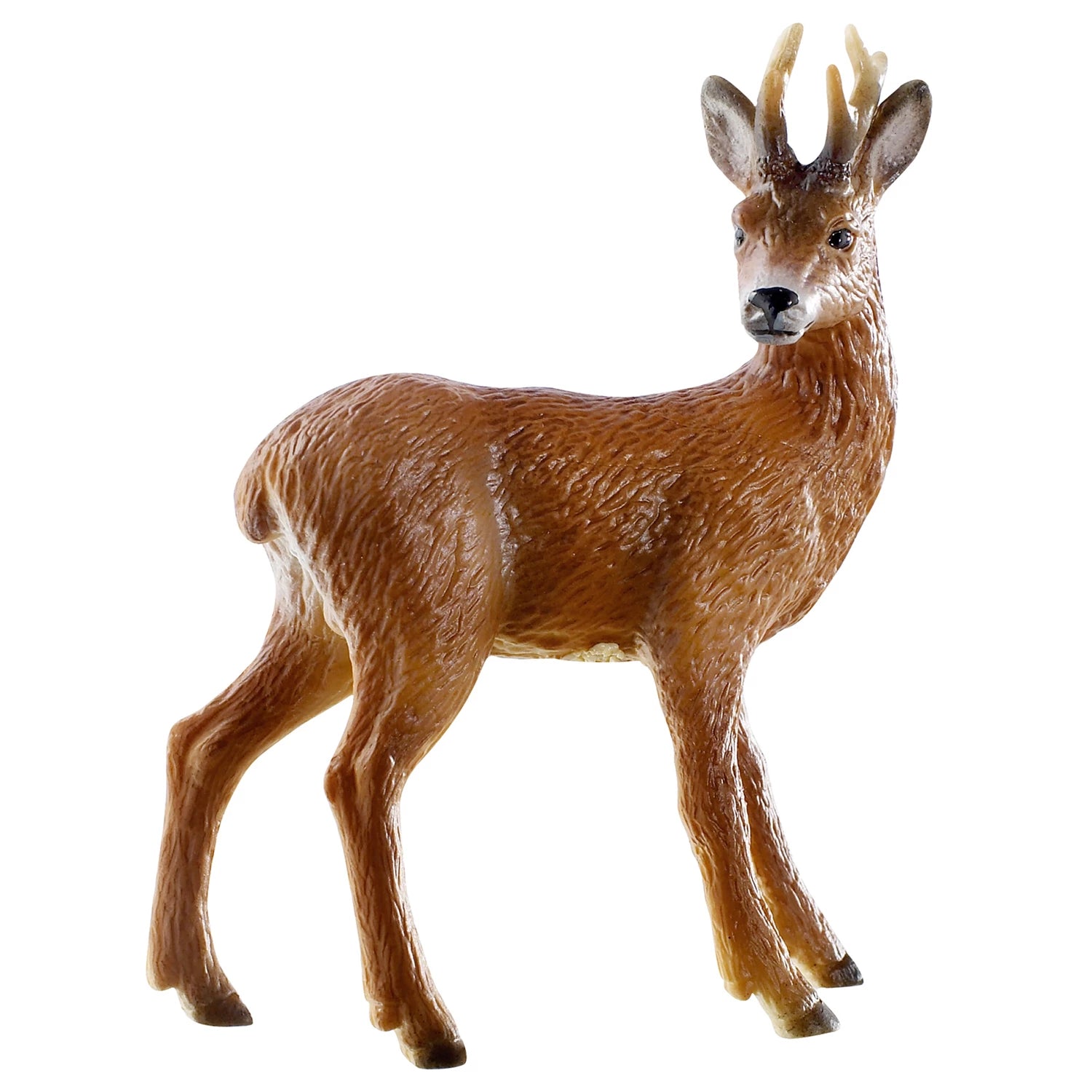 Rehbock