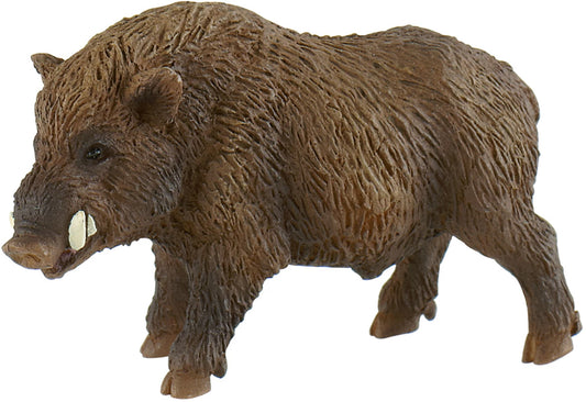 Wildschwein