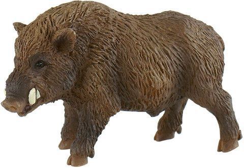 Wildschwein