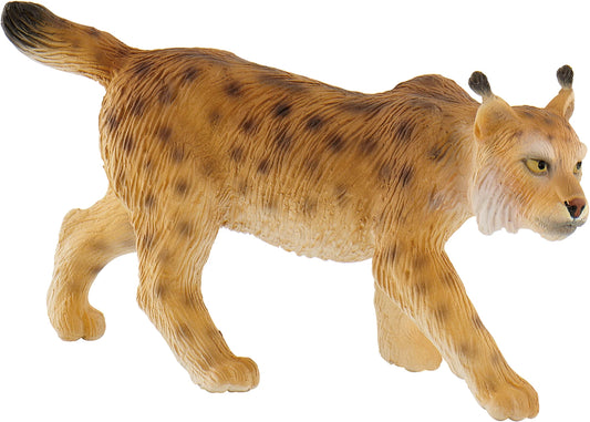 Luchs