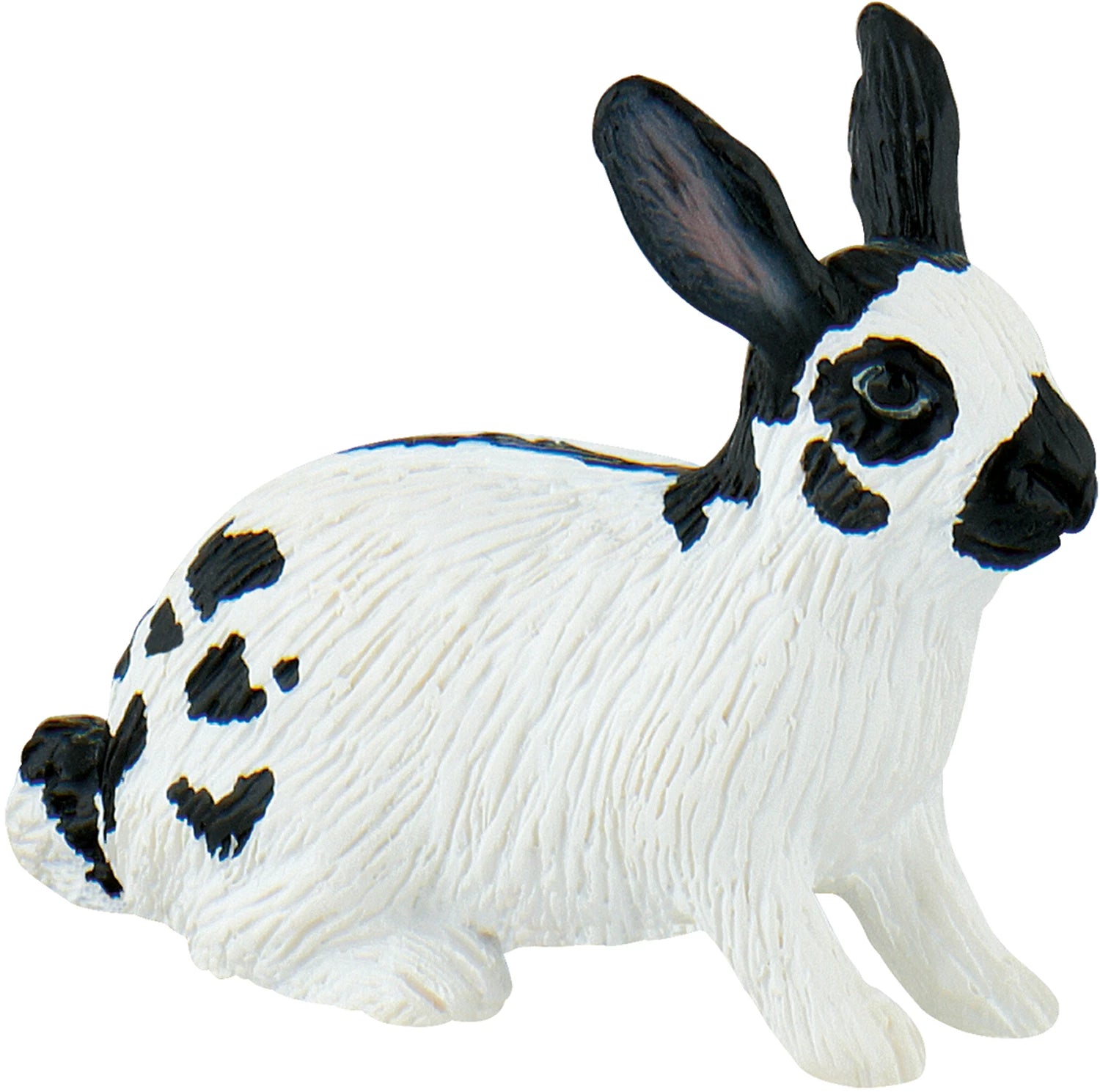 Hase, Riesenschecke