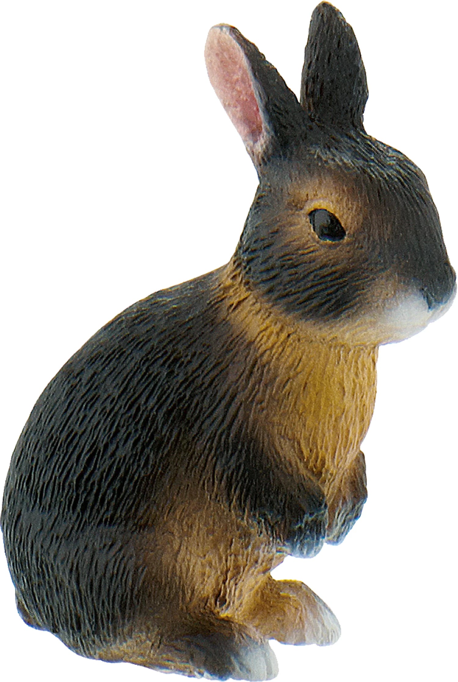 Kaninchen