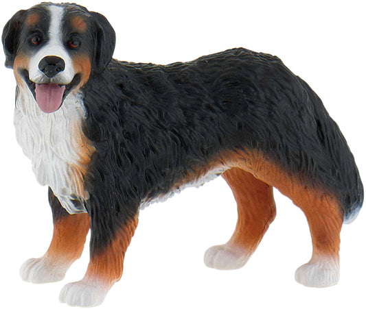 Berner Sennenhund Bianca