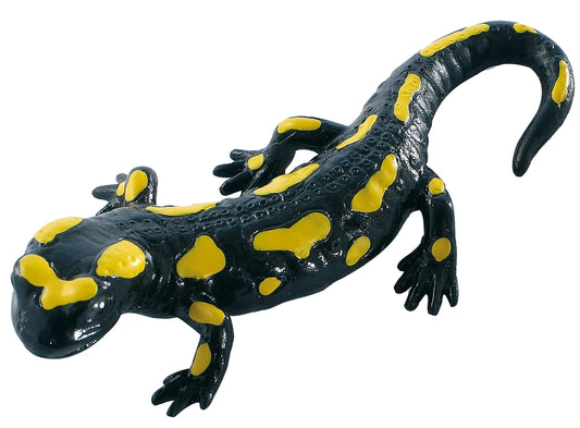 Feuersalamander