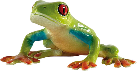 Rotaugenlaubfrosch