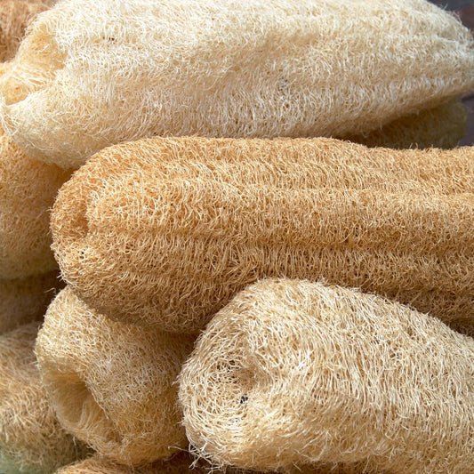 TerATer - 100% Naturlig Loofah Svamp - Frisk Opp Huden Din På En Naturlig Måte! 🌿✨