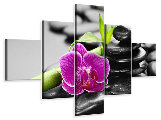 Leinwandbild 5-teilig Feng-Shui-Orchidee