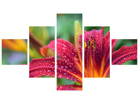 Leinwandbild 5-teilig Lilien Blüte in pink XL