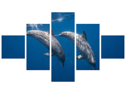 Leinwandbild 5-teilig Two Bottlenose Dolphins