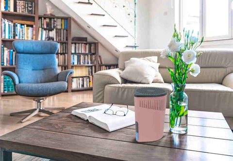 Raumentfeuchter Drop 1000 g rosa