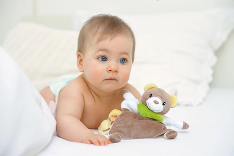 Display Schmustetücher 20 Stk.