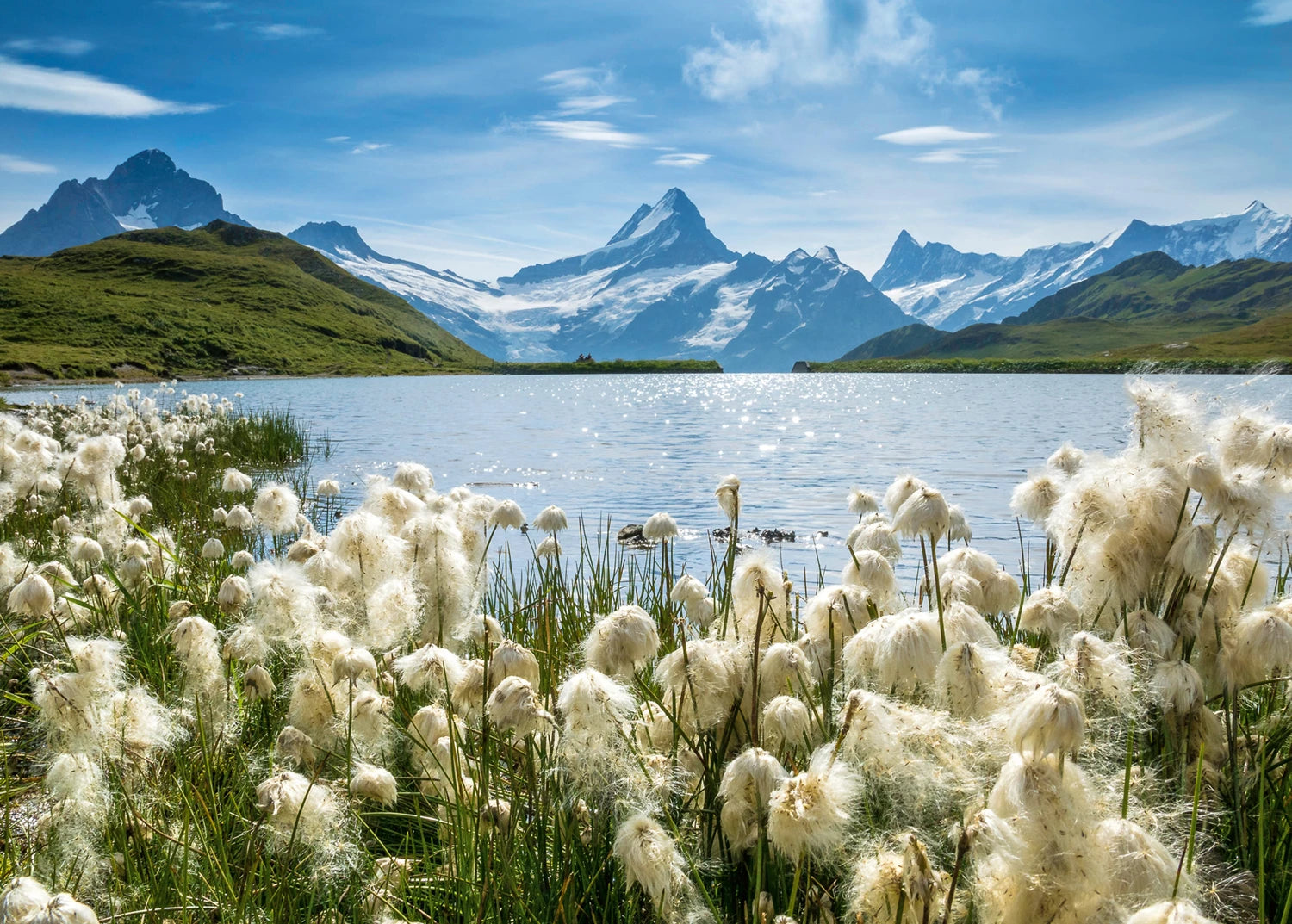 Puzzle Bachalpsee Grindelwald