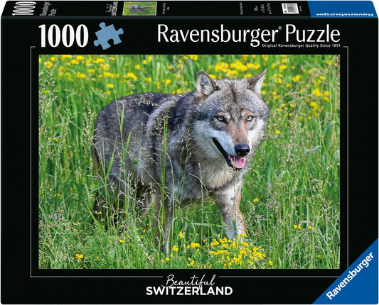 Puzzle Wolf im Tierpark Goldau