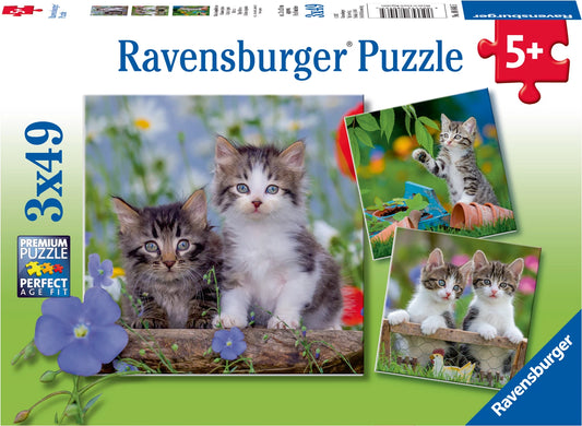 Puzzle Süsse Samtpfötchen