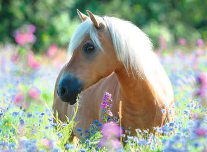 Puzzle Pferd im Blumenmeer