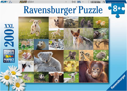 Puzzle Süsse Tierbabys