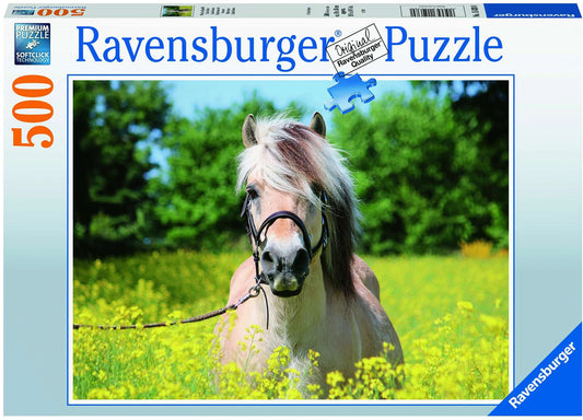 Puzzle Pferd im Rapsfeld