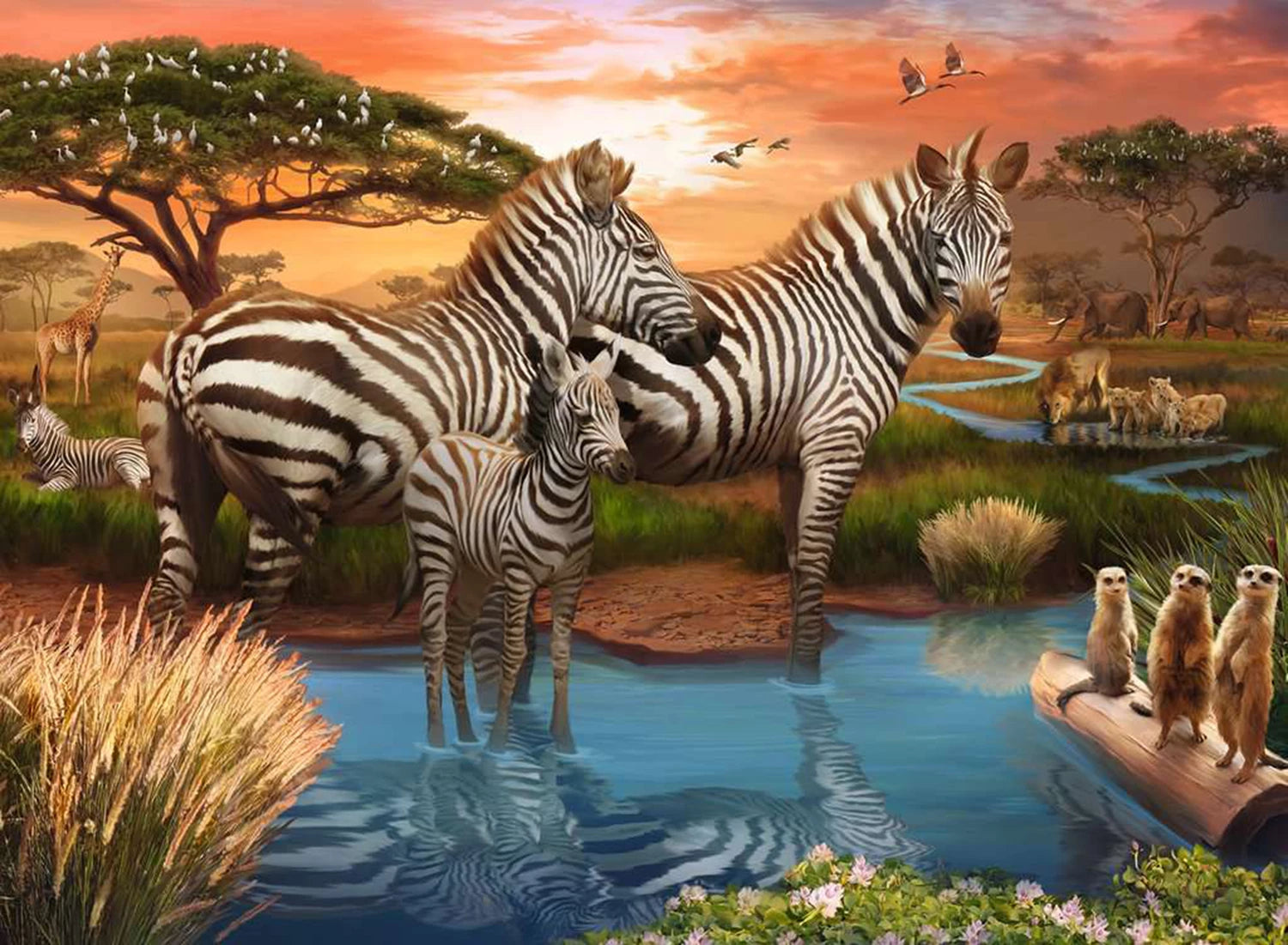 Puzzle Zebras am Wasserloch