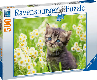 Puzzle Kätzchen in der Wiese