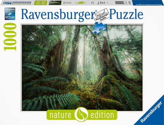 Puzzle Faszinierender Wald