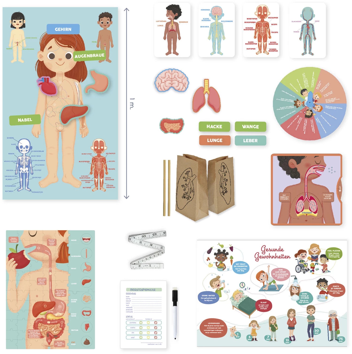 Ich lerne entdecken Der Körper,