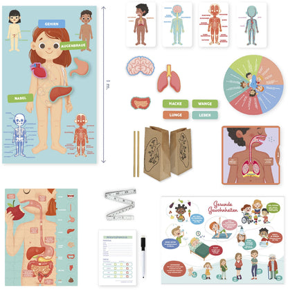 Ich lerne entdecken Der Körper,