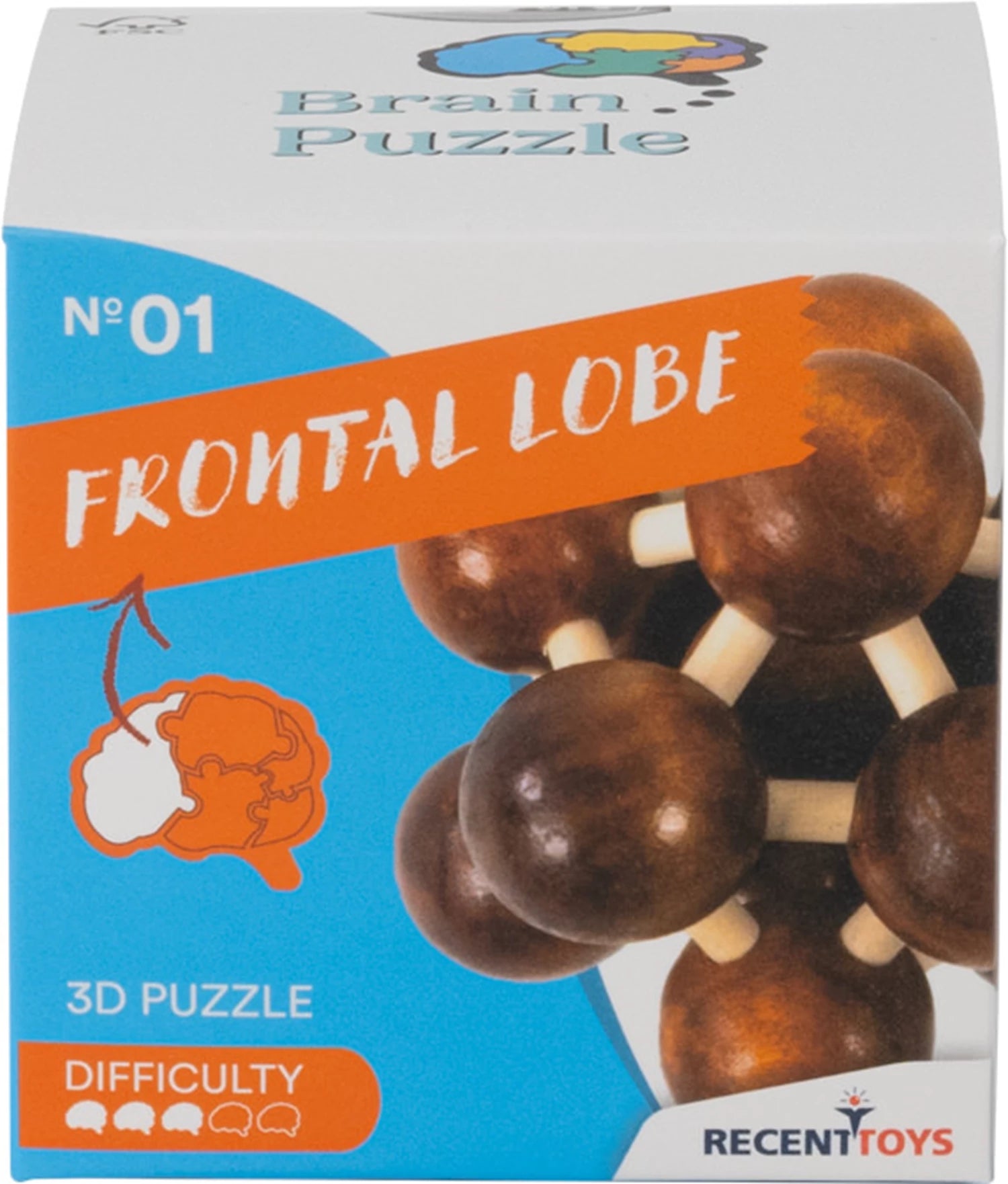 Brain Puzzle Nr.1 Frontal Lobe
