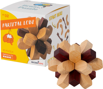 Brain Puzzle Nr.2 Parietal Lobe