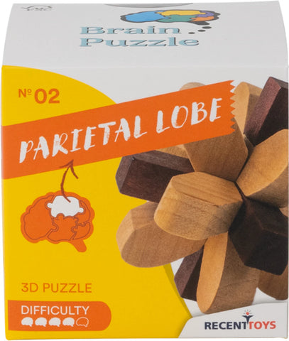 Brain Puzzle Nr.2 Parietal Lobe