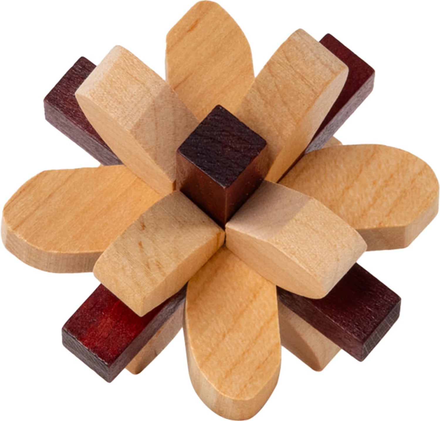 Brain Puzzle Nr.2 Parietal Lobe