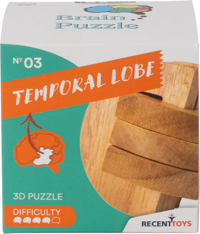 Brain Puzzle Nr.3 Temporal Lobe