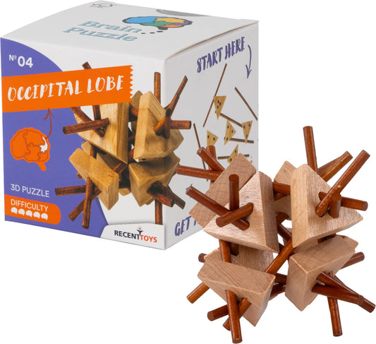 Brain Puzzle Nr.4 Occipital Lobe
