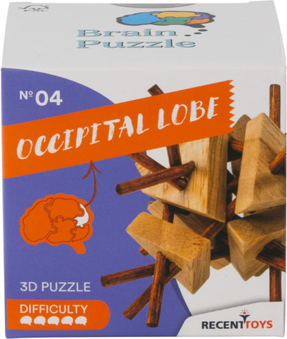 Brain Puzzle Nr.4 Occipital Lobe