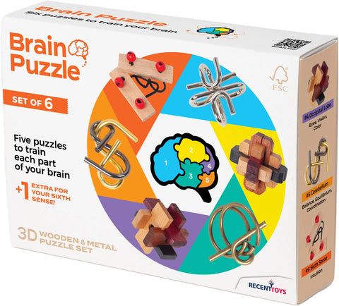 Brain Puzzle 6-er Set