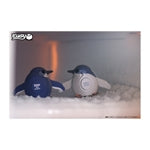 3D Bastelset Pinguin (MQ6)